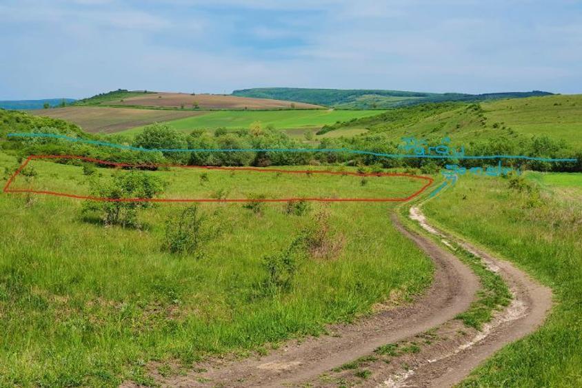 Teren extravilan ideal în comuna Borșa - Cluj - 2