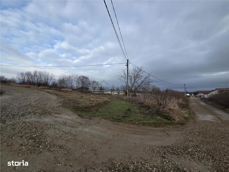 Teren intravilan,dublu front,Paleu,Oradea,Bihor - 4