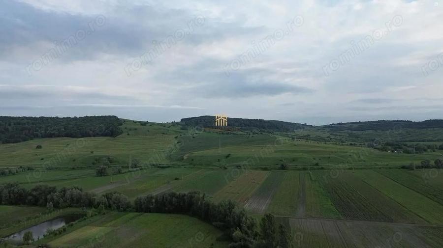 Teren 3953 mp Falticeni Tarna Mare De Vanzare 0727817187 - 3