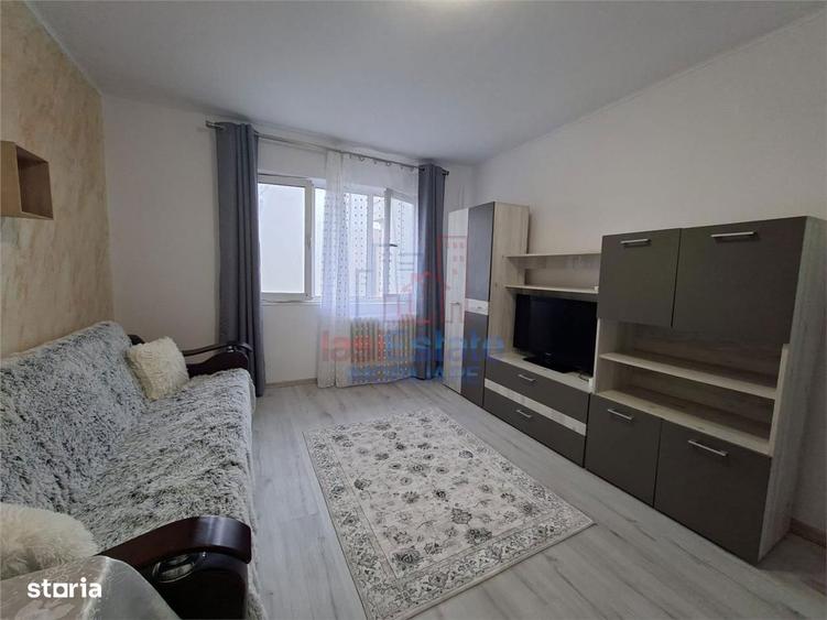 Garsoniera de inchiriat Pacurari - Stindardului - 8