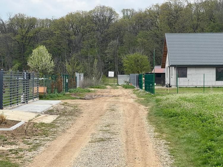 Teren Construcții intravilan de 1500 mp, în Ciolpani