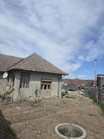 Vand casa in mihai viteazul - 3