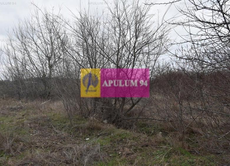 Teren cu potential comercial, bun pentru Showroom. - 10