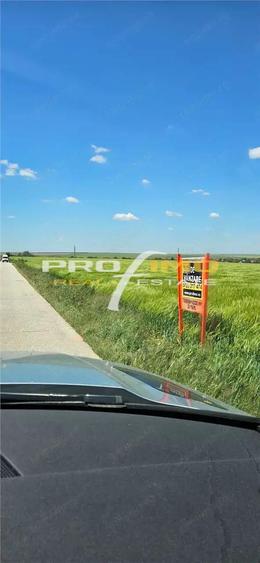 Plaja Corbu-Teren 4200mp. cu deschidere la Soseaua asfaltata - 4