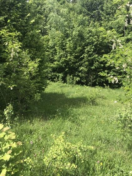 Vand teren in Albestii de Muscel faneata-pasune, partial impadurit - 8