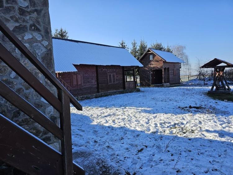 Casă de vacanță cu 6 camere + teren suprafață 7.384 mp, Brădet, Bihor - 6