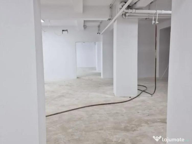 Cismigiu, sp com 386 mp - 4