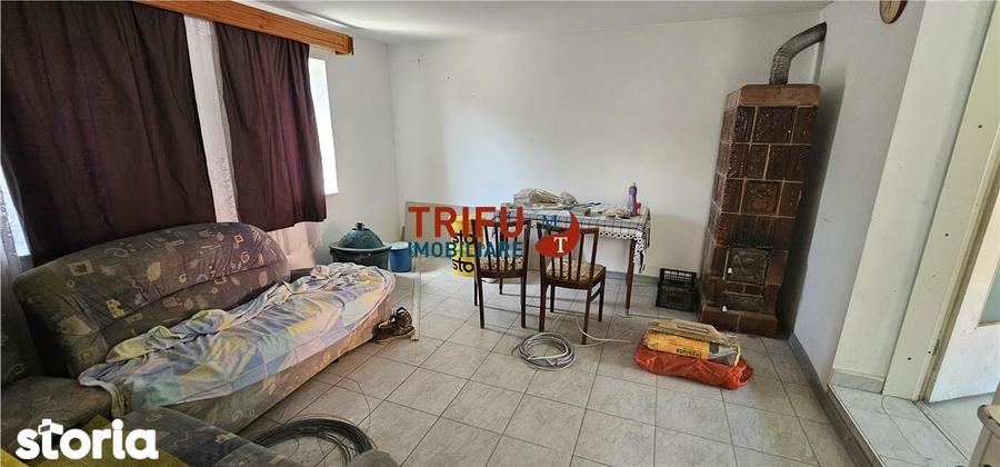 Casa de vanzare in comuna Cricau 1534mp teren - 3