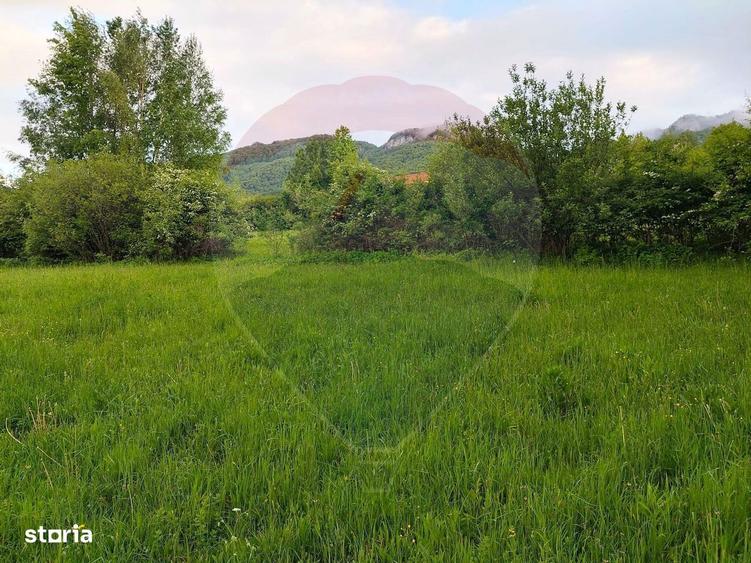 Teren Bran-Zarnesti - Tohanita, 4223mp - 3