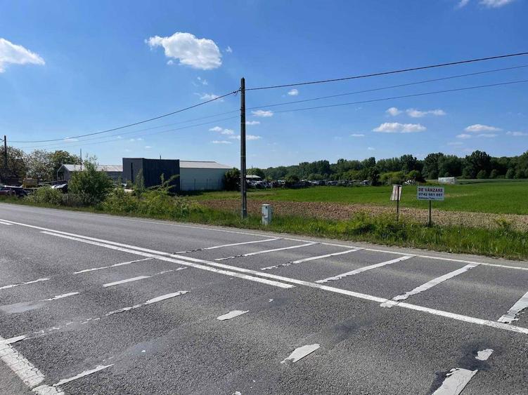 3.65 hectare teren partial intravilan Ciuperceni de vanzare, front 100 m la asfalt, ceas curent trifazic, construibil, plat - 3