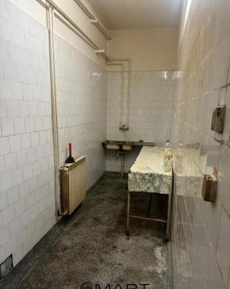 Spa?iu comercial de vanzare 380 mp, Terezian, Sibiu - 8