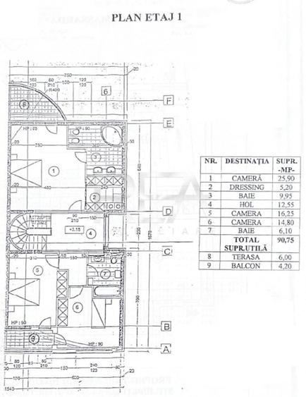 Vila 9 camere Parcul Circului – Strada Judetului, lux - 12