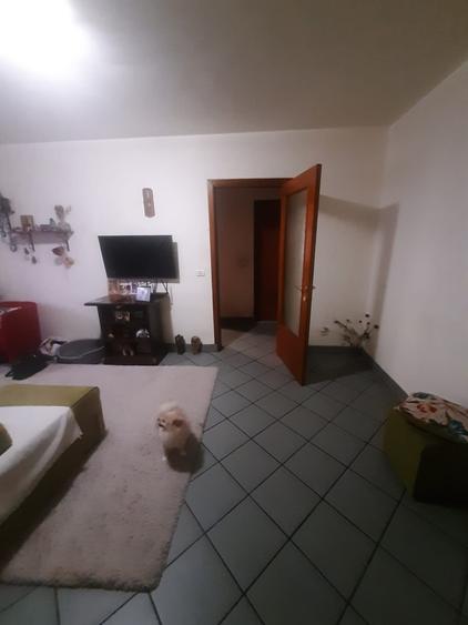 Drumul Taberei Raul Doamnei - 6