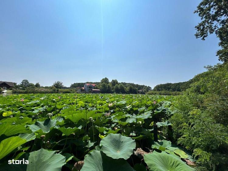 Teren de Vis pe malul lacului Snagov / 4000 mp in inima Naturii /40 m - 4
