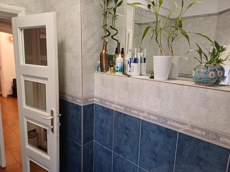 Muncii adiacent -Apartament in vila -140 mp - - 19