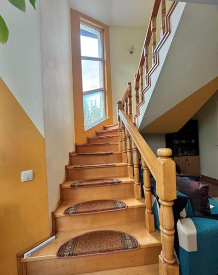 CASA DE VIS SAU AFACERE DE SUCCES BAIA SPRIE - 10