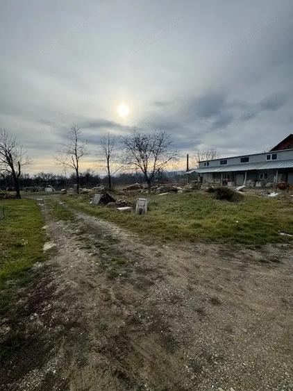 Hala 223 mp cu teren 600 mp, inchiriere/vanzare, Comanesti, jud. Bacau - 11