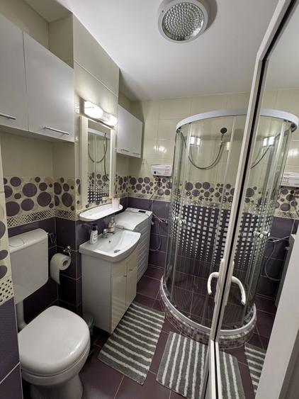 Garsoniera de inchiriat - 5