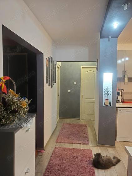 Apartament 3 camere Ludus-Mures - 11