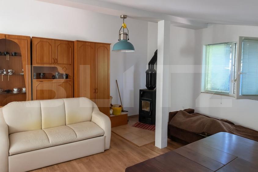 Cabana de vanzare in Belis - 5