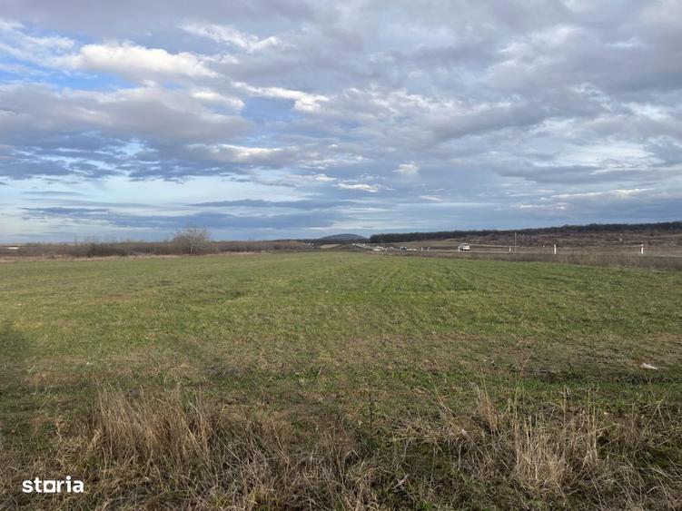 Teren 7481 mp, cu acces facil la Inelul Metropolitan - 7