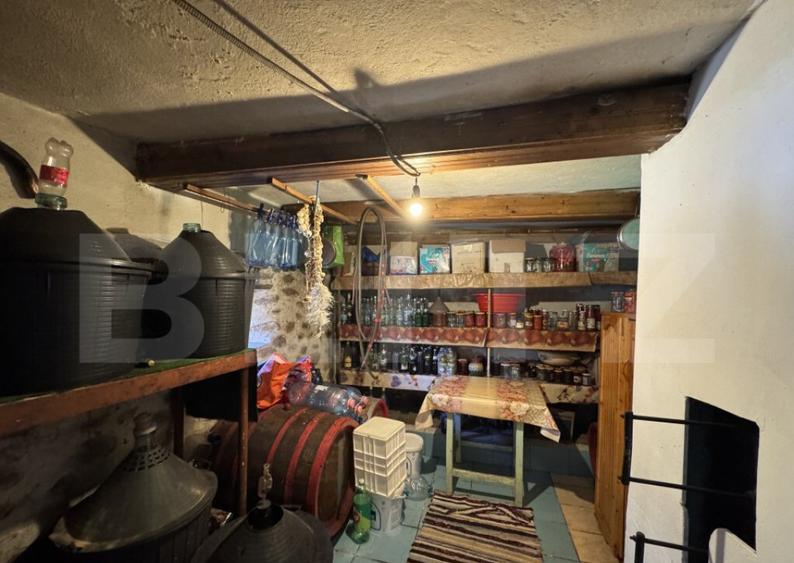 Casa plan parter cu 4 camere, 160 mp si 13000 mp teren, zona - 28