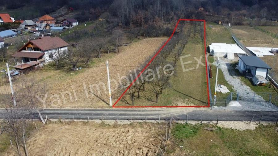 Teren de vanzare in comuna Albe?tii de Arge?, jude? Arge?. - 3