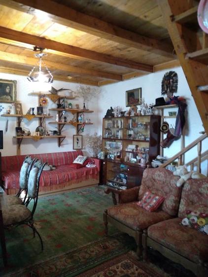 Casa de vacanta izvorul rece balta Mara cabana vanatorului - 3