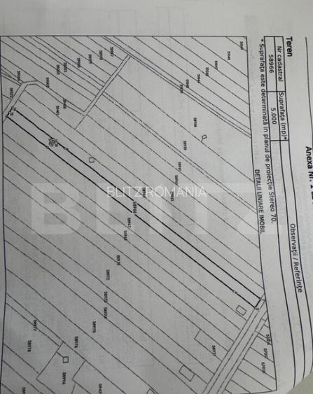 Teren 5000 mp, deschidere 13 ml, Bals