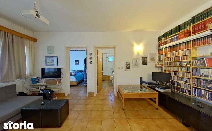 Vila pe lac cu vedere la padure - Pasarea - Branesti - 18