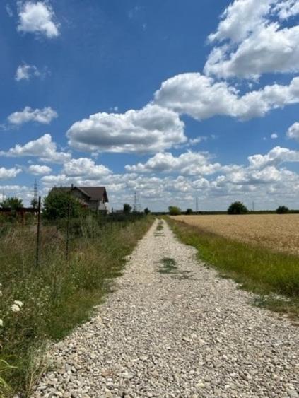 Terenuri Peris - loturi de 800 mp +130mp drum acces - 2