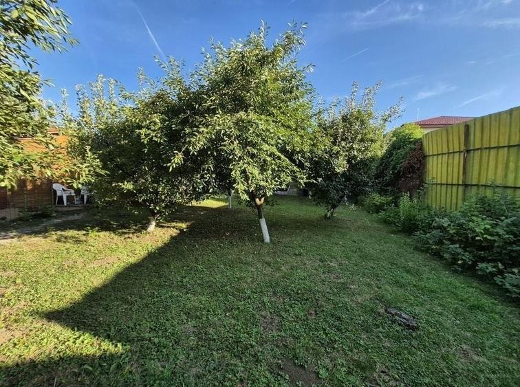 Cabana de lemn cu fundatie 86 mp+ livada pomi fructiferi+teren 847 mp - 6