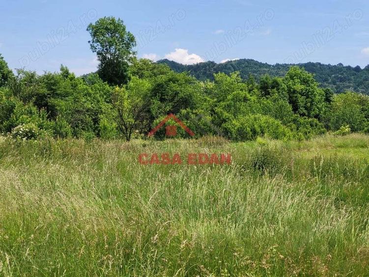 Teren intravilan in Brebu-- 3399mp--81.500e - 1