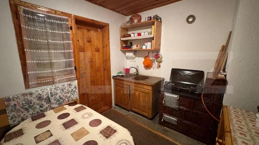 VAND CASA DE VACANTA LA COLIBITA, CU VEDERE SPRE LAC - 13