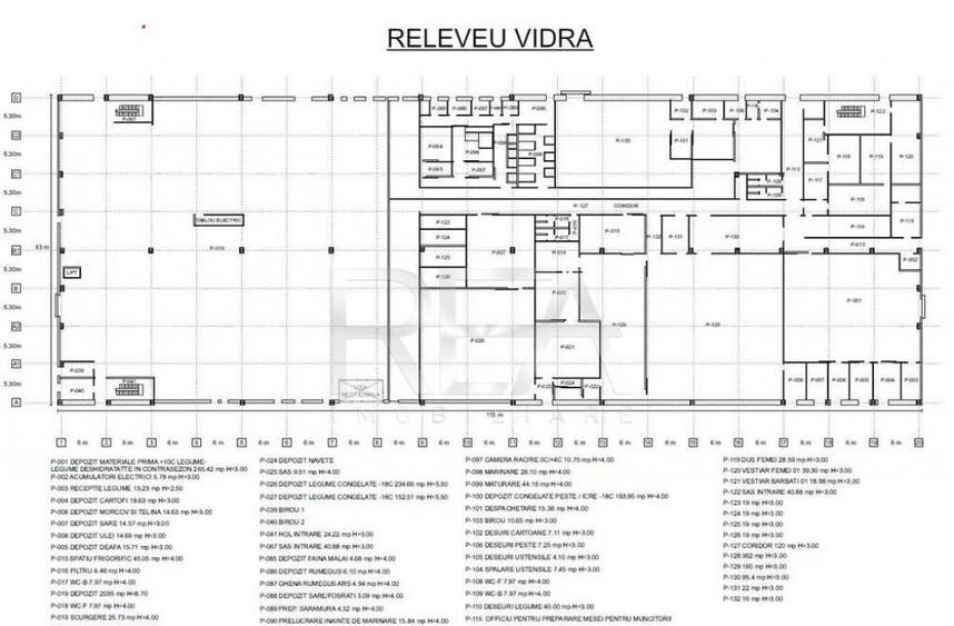 Hala temperatura controlata | Depozitare/Productie | Vidra\C - 2