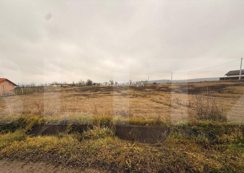 Teren intravilan de vanzare, 1250 mp - Ipotesti