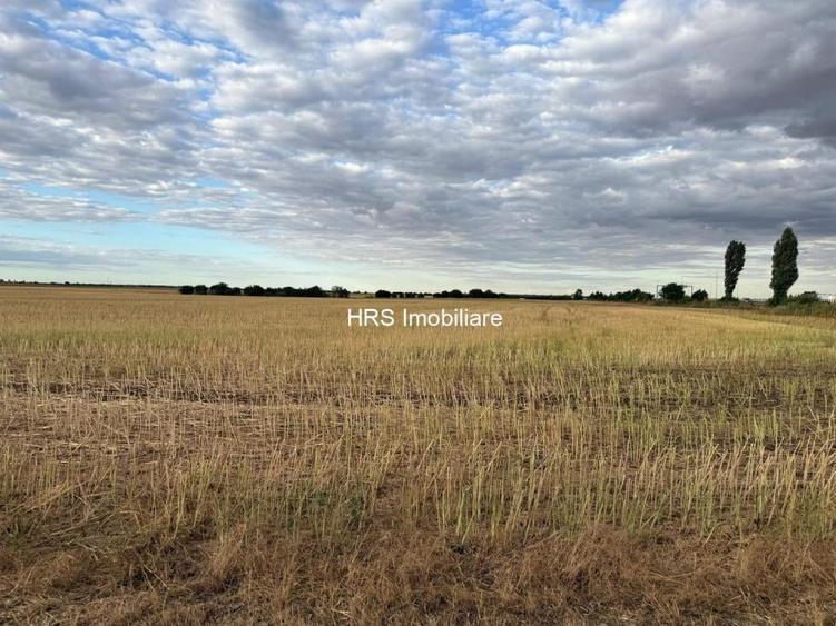 Teren intravilan Branesti - 1