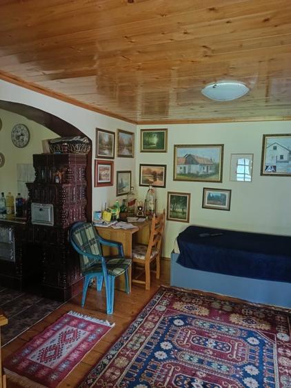 Casa Santaul Mare nr51 - 6