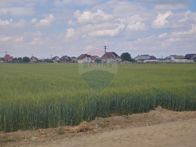 Teren intravilan 6,600mp Dumbraveni / Strada Principala spre Veresti - 12