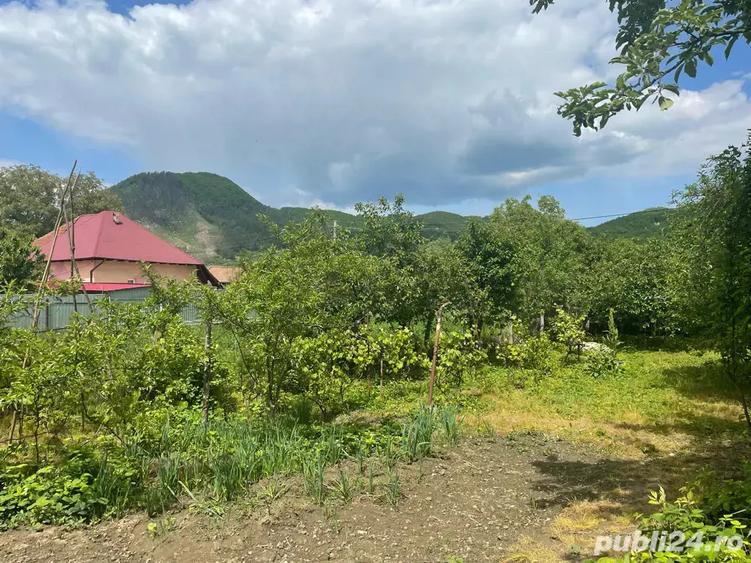 Vand casa + teren 2690 mp - 3