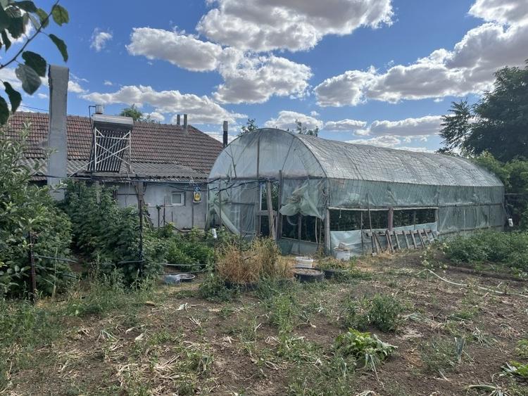 Sacele, Jud Constanta. Oportunitate! Casa la sol, 4 camere si dependinte,livada! - 3