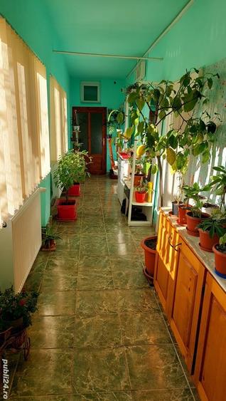 Vand 2 case in Chi?ineu Cri? (schimb cu casa in Arad) - 4