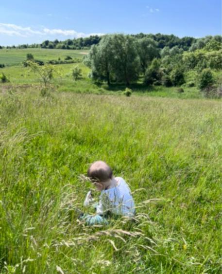 Teren extravilan intabulat Baciu - 1