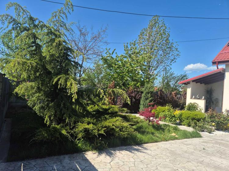 De vanzare casa P+M+BECI - 5