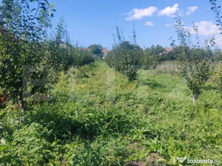 Casu?a tip foi?or, 30 mp, pe un teren de 3.000 mp, veder - 3