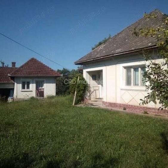 Loc. Basesti (jud. MM) casa de vanzare cu 8.000 mp teren