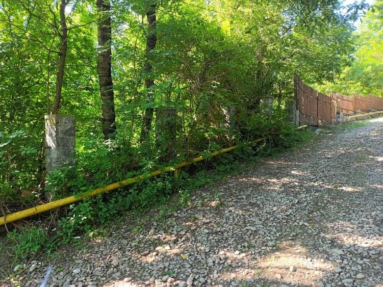 Oportunitate Imobiliară: Teren intravilan cu deschidere la strada si utilitati - 1