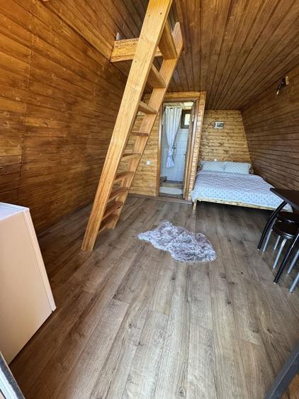 Proprietate turistica completa de vanzare in Cicanesti, Arges 2 casute functionale, 2.356 mp teren intravilan, energie verde si peisaj de vis - 1