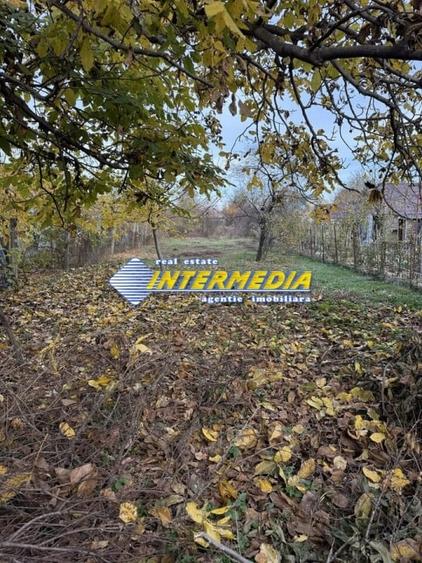 Casa individuala 3 camere Vanzare Barabant cu 1096 mp. toate utilitatile - 2