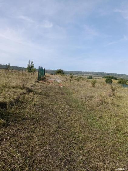 Teren de vanzare in Cluj strada Odobe?ti - 4